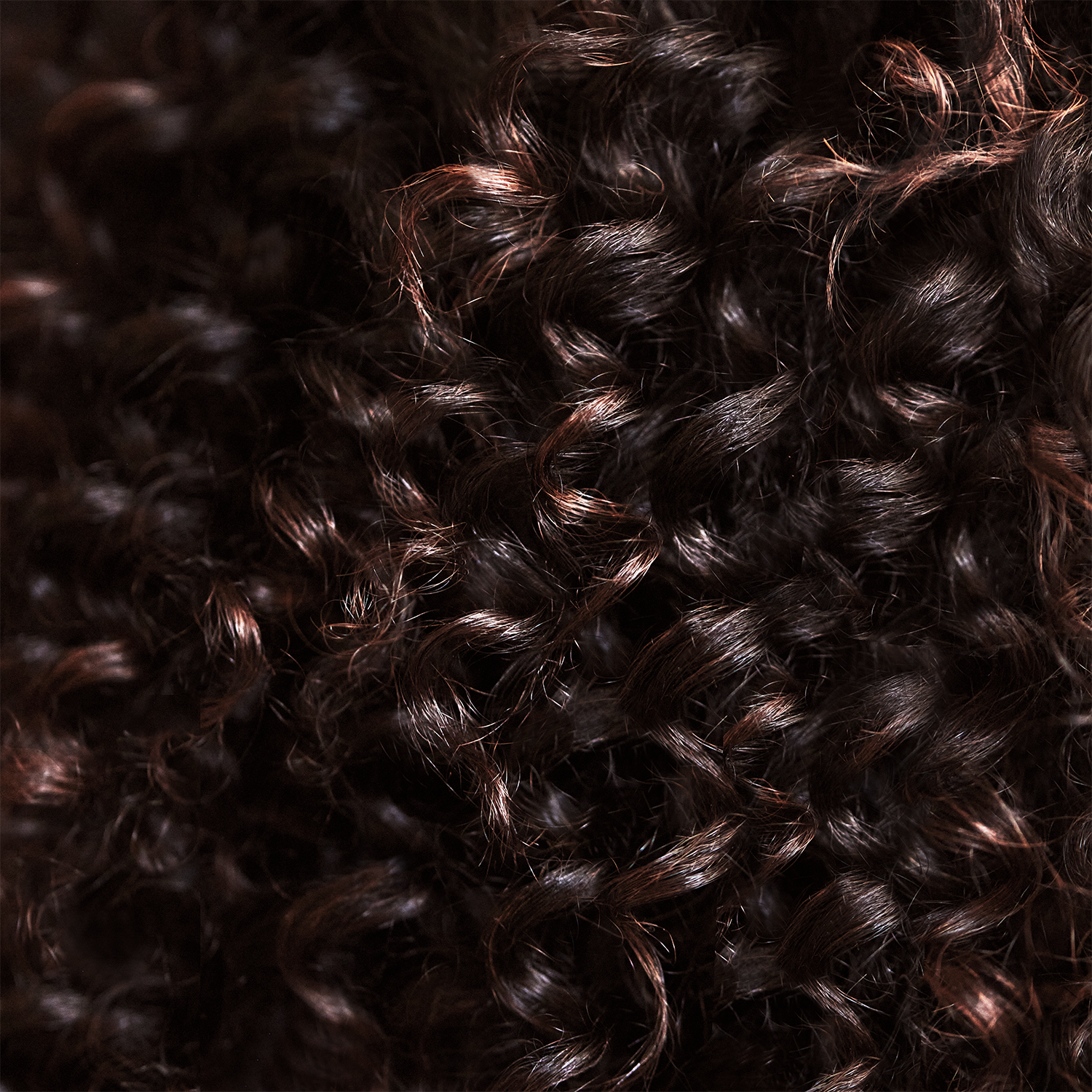 The Duo for Thick & Coarse Hair
