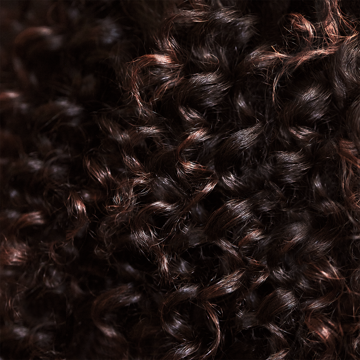 The Duo for Thick & Coarse Hair